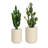 Allenville Fiberstone Plant Pot-315919489-394697157