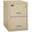 Fireproof 2 - Drawer File Cabinet-20325688