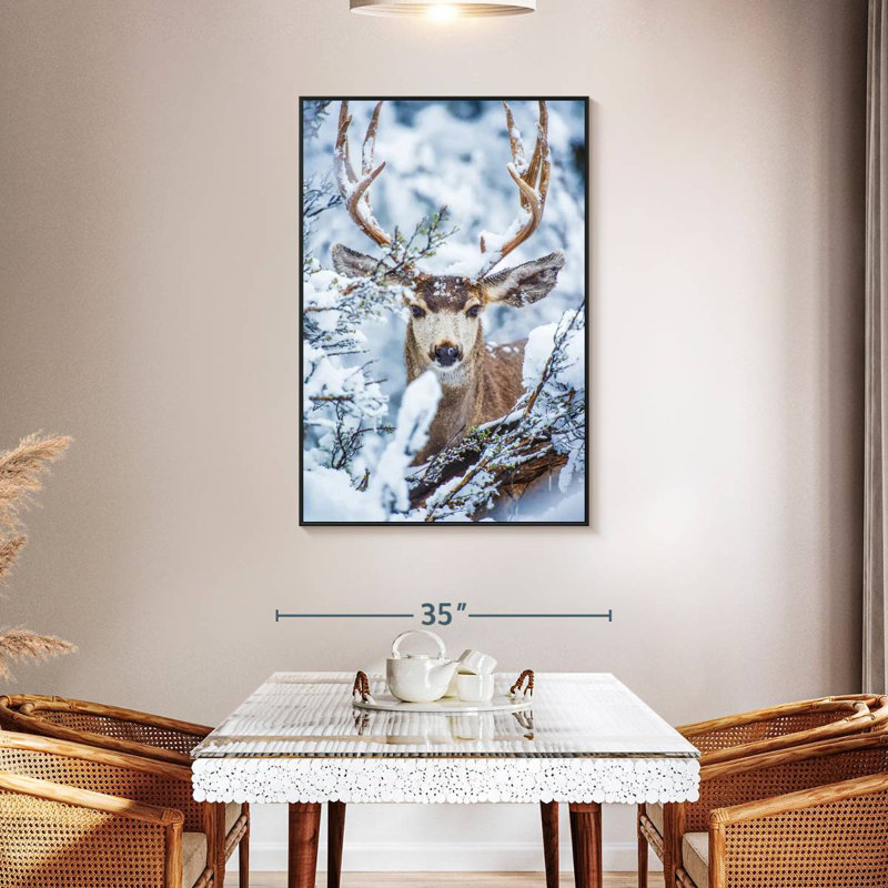 Cerf mulet d'hiver, Cadre flottant noir, 31 po x 46 po