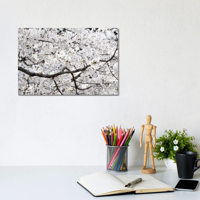 Sakura Cherry Blossom by Philippe Hugonnard - Wrapped Canvas Gallery-Wrapped Canvas Giclée, 20.32 cm H x 30.48 cm W