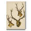« Wild World I », reproduction d’art sur toile tendue-300524198