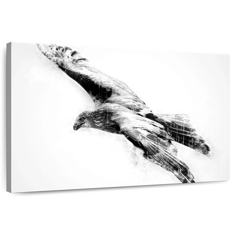 Brampt Hawk Black And White, 32" H x 48" W