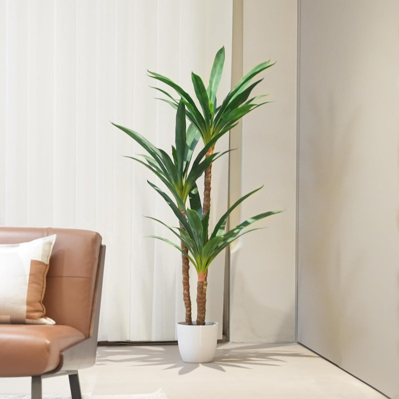 57 plantes