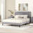 Upholstered Platform Bed-490582643