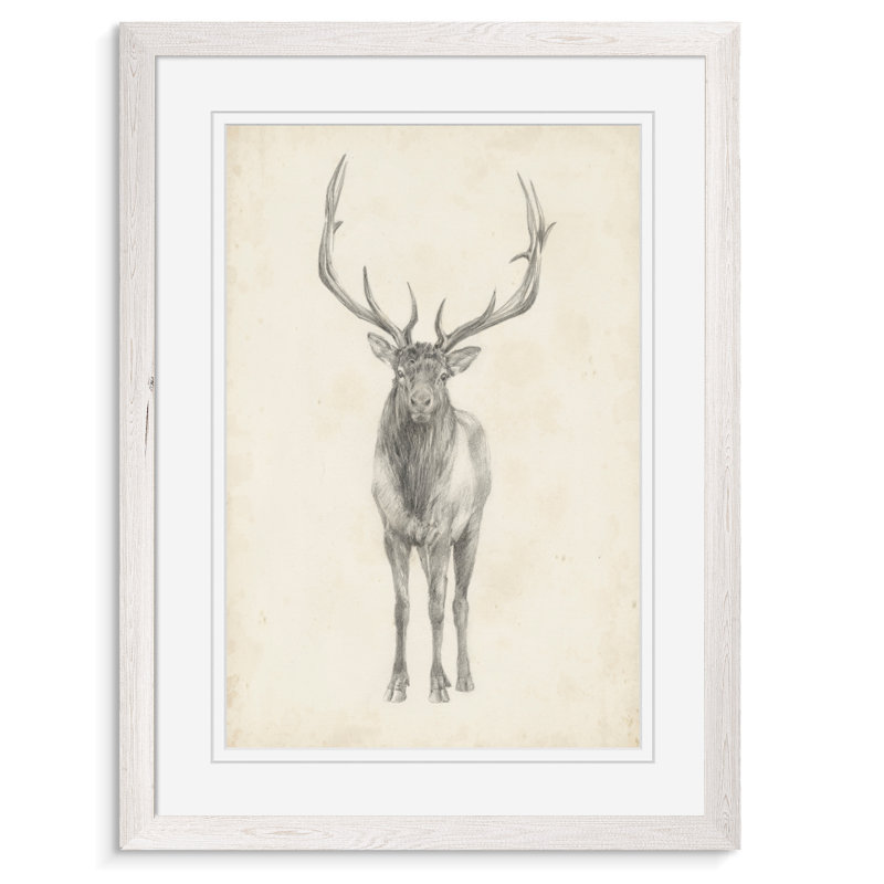 " Elk Study " by Paul Cezanne, 30" H x 22" W x 1.25" D, White Paper Framed