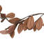 Magnolia Garland