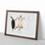 Kachuga Terrapin Illustrations by John Edward Gray - Picture Frame Graphic Art Print-55609845-55609848