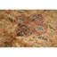 Wool Oriental Area Rug