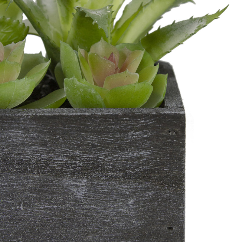 Artificial Green Succulent Arrangement in Black Wooden Planter