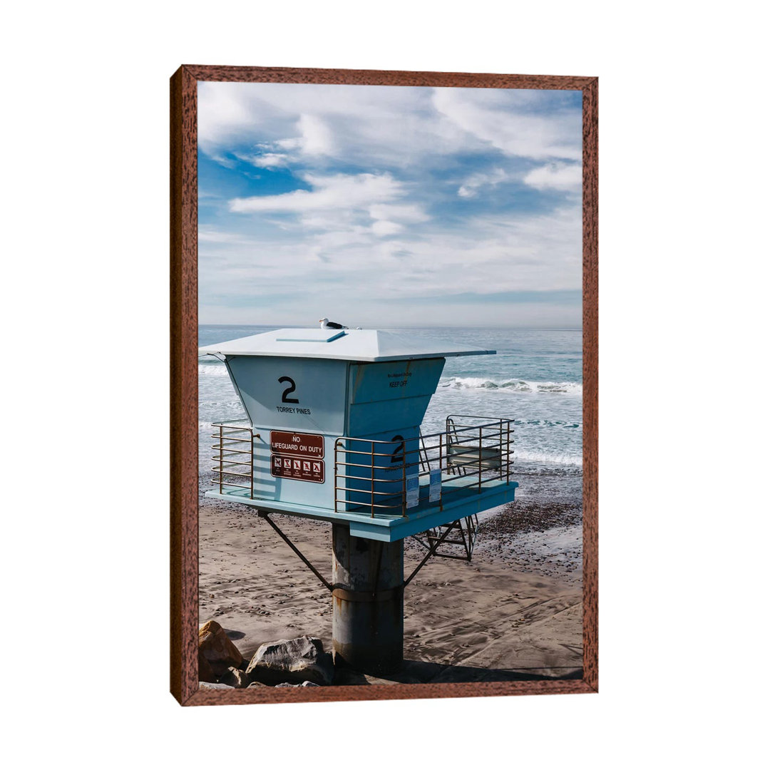 Torrey Pines San Diego IV by Bethany Young - Print on Canvas