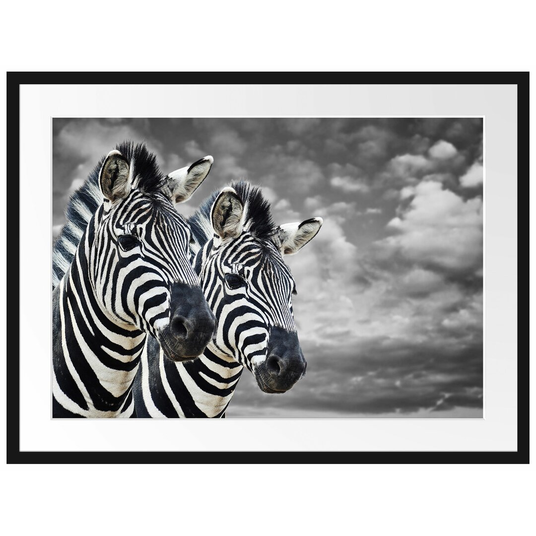 Gerahmtes Poster Zwei Zebras