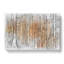 Sunny Forest In Switzerland - Wrapped Canvas Painting-56647324