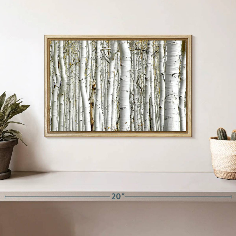 Birch Wood, Floating Frame Natural Wood, 13" X 9"
