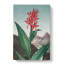Indian Reed Flower by R.J. Thornton - Wrapped Canvas-55362230