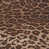 Leopard selected