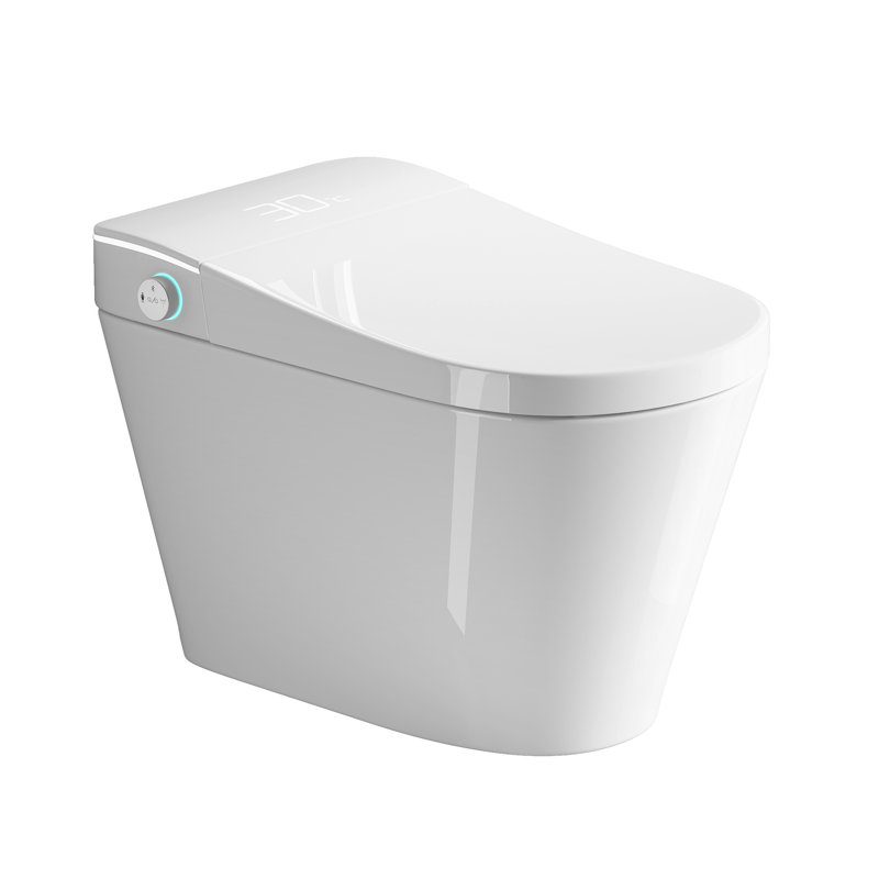 Unique Smart Toile,  One Piece Toilet With Bidet Built In,Intelligent Toilet Auto Open/Close Seat. Bidet Toilet With Dryer And Warm Water.WHITE