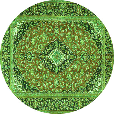 Amitiel Washable Oriental Indoor Rug