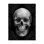 «Glam Skull» par Ethan Harper, reproduction d'art graphique sur toile
