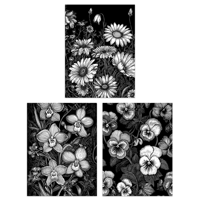 Elegant Spring Flowers Daisies Orchids Peonies Black White - 3 Piece No Frame Print Set, 40.5cm H x 30.5cm W x 0.3cm D
