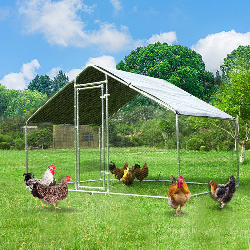 63 Square Feet Chicken Coop with Chicken Run