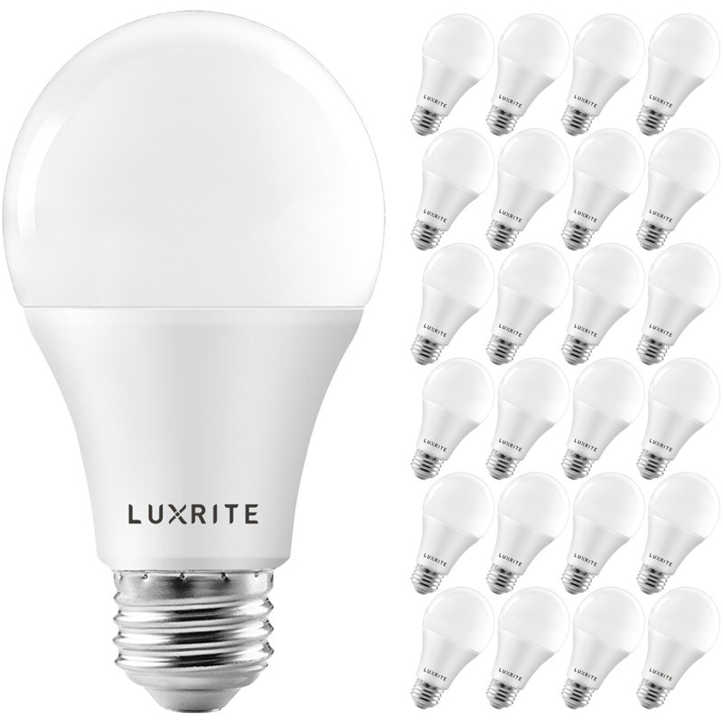 15 W (équivalent à 100 W), ampoule DEL A19 à intensité variable, culot moyen E26 (standard), 2700 K
