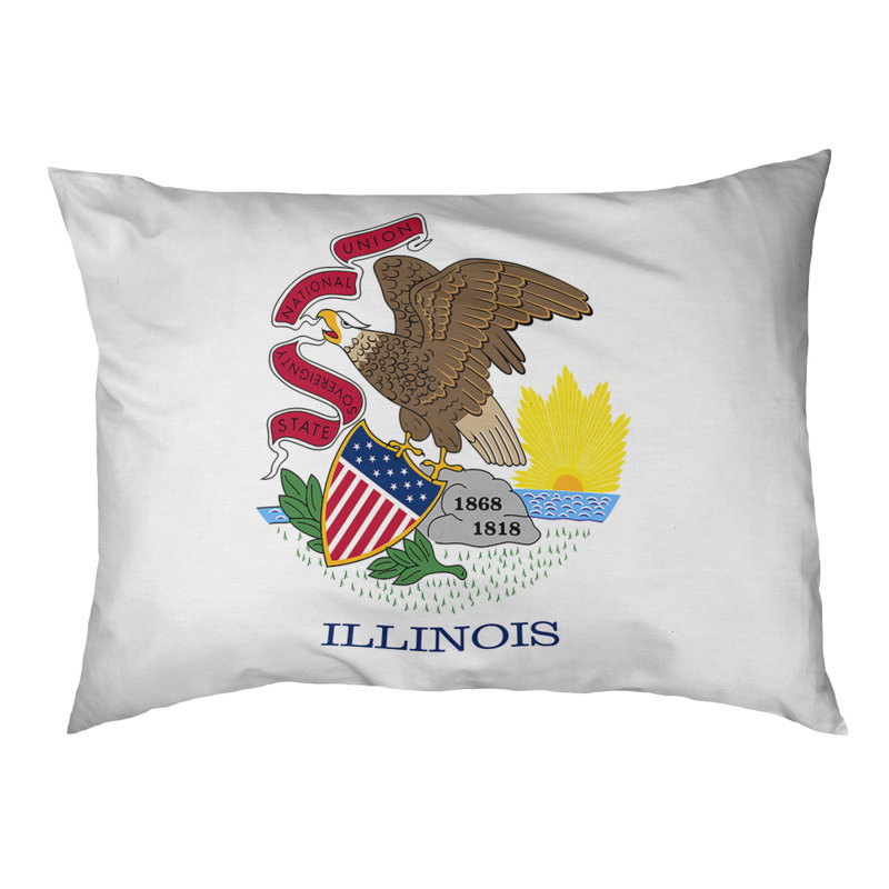 Coussin créateur pavillon illinois Burien, L 19,5 po x l 29,5 po, Noir