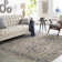 Letourneau Oriental Indoor Rug