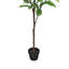 Magnolia artificiel en pot-526409312