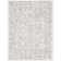Oriental Indoor Rug
