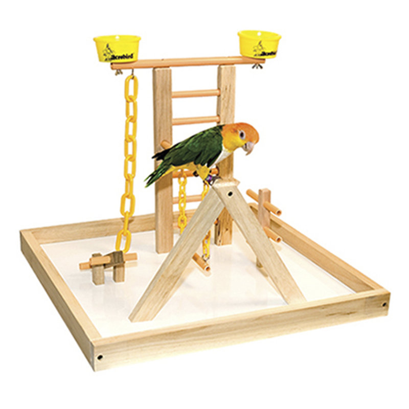 Terrain de bois acrobird