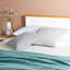 Berns Bed-2079505542