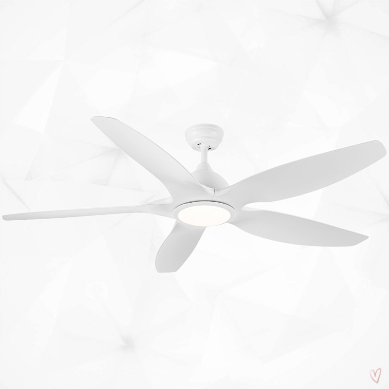 Dainius 60'' Ceiling Fan with LED Lights, White
