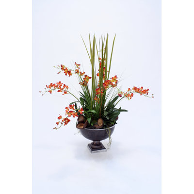 Dendrobium Orchid Centerpiece in Vase