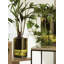 Balcony Round Glass Planter-1766314224