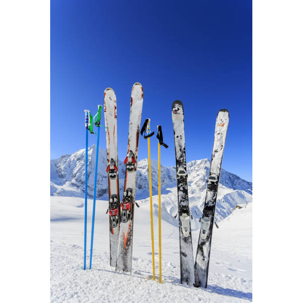 GoPong Das Shotten Ski & Reviews | Wayfair