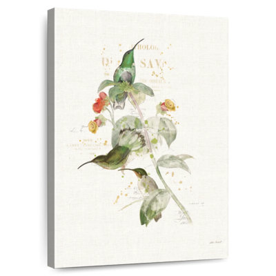 Colibris colorés Brampt III