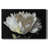 WHITE PEONY-Gallery Wrapped Canvas-457515149