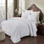 Ensemble de couvre-lit 100% coton de qualité supérieure Rylee-78621354-78621352