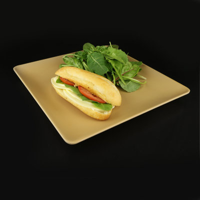 Assiette plate 11 po Greenovations