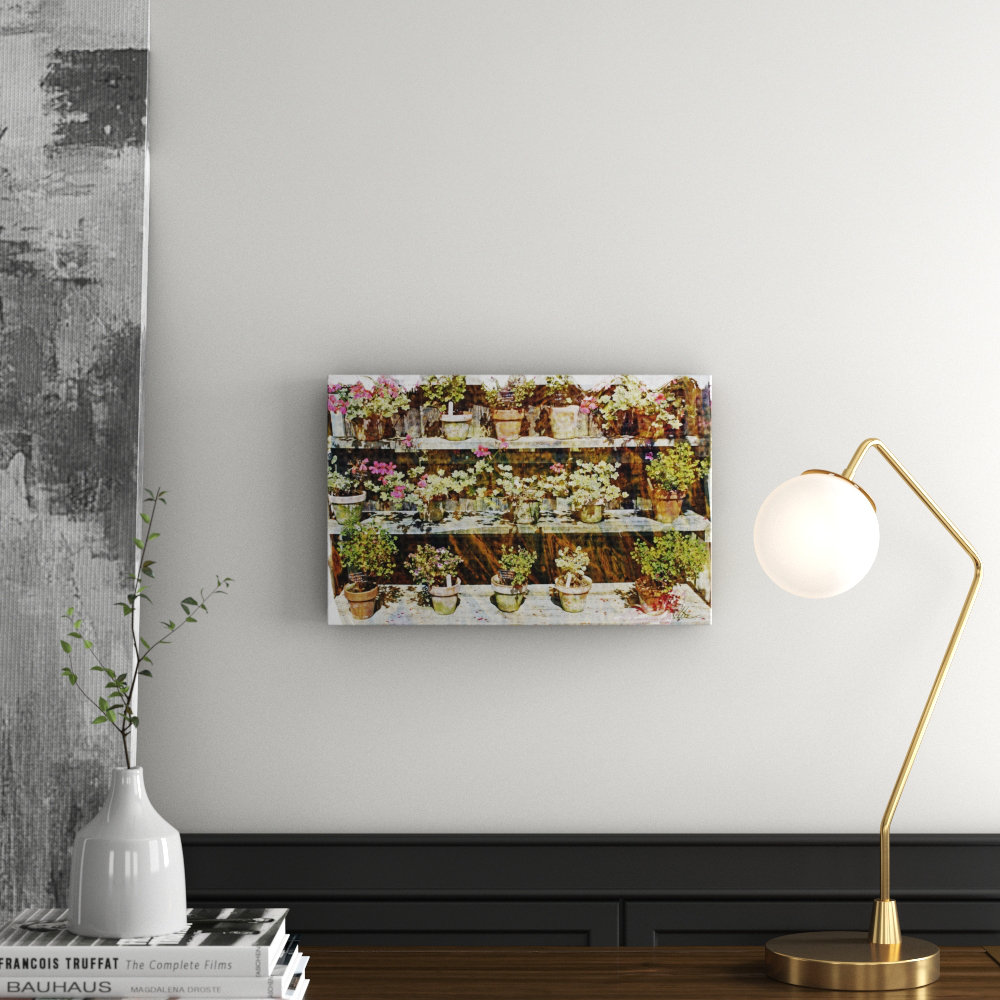 Flower Plant Pots Graphic Art on Canvas