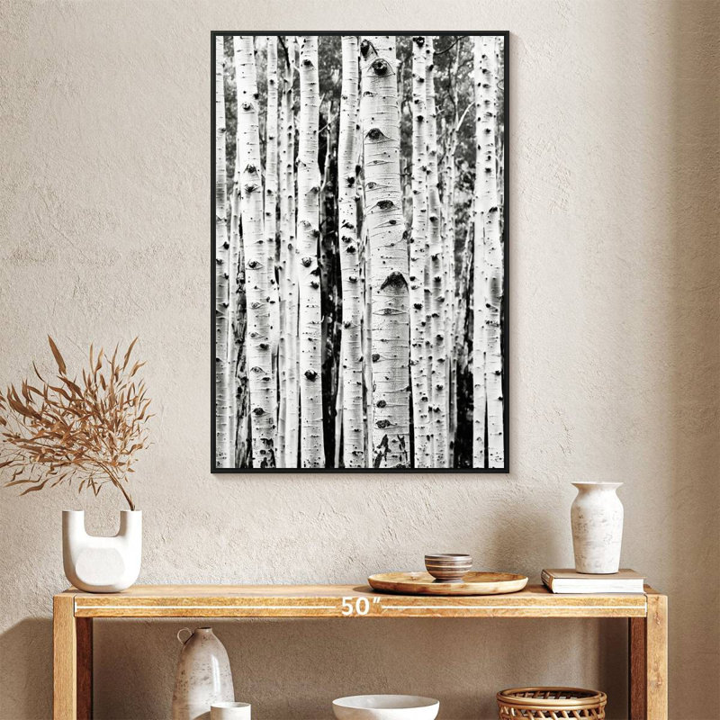 Bouleau en noir et blanc, Cadre flottant noir, 27 po x 40 po