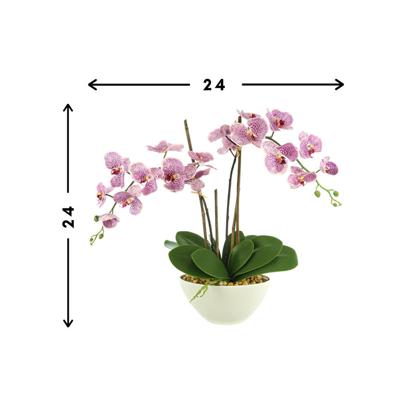 Orchid Floral Arrangement In A Ceramic Pot With Rocks, Pink