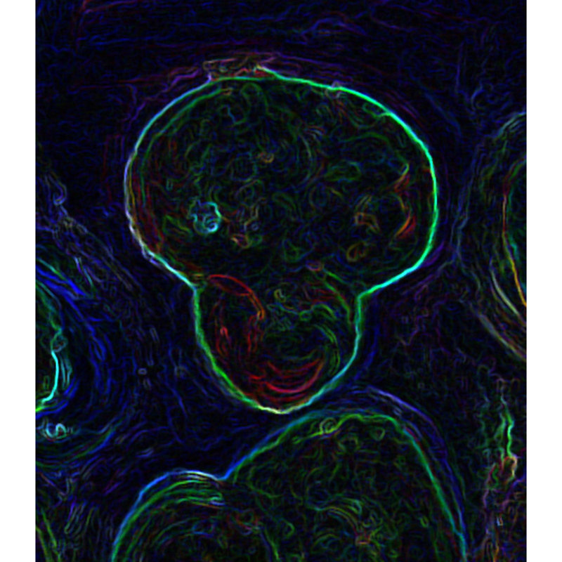 Particles 5 Painting by Irina Gorbman, 36" H x 36" W