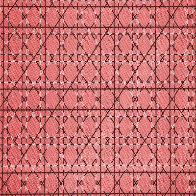 Performance Wool Indoor Rug