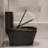 Watermony New Siphon Silent Anti-Odor Black Toilet (Seat Included)