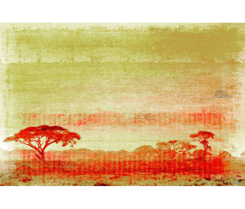Parvez Taj - Wrapped Canvas Print, 51cm H x 76cm W x 4cm D