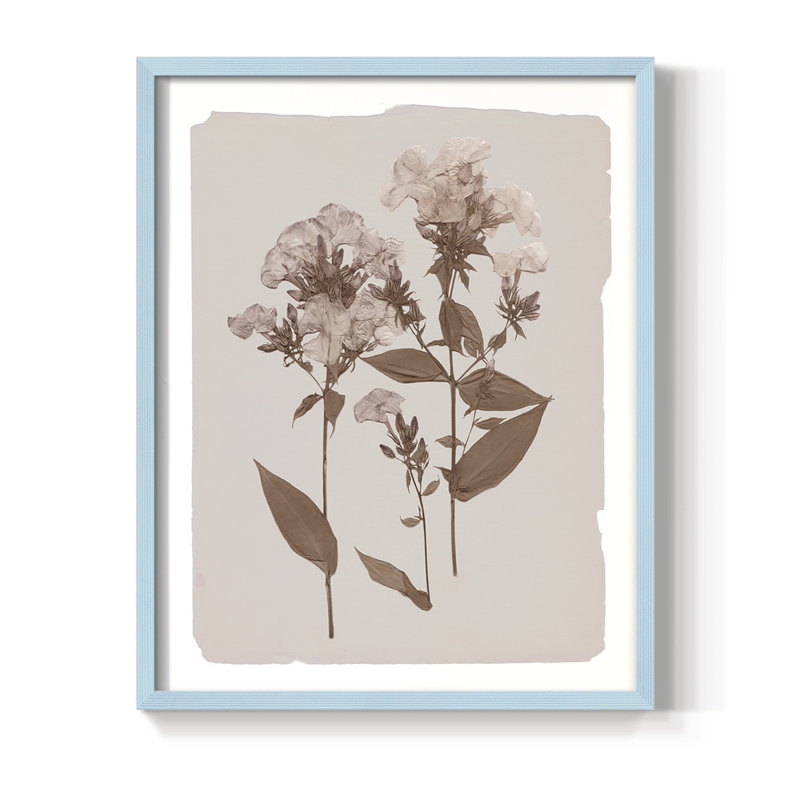Impression encadrée monochrome Botanical II - bois massif, Bleu, H 30 po x l 24 po