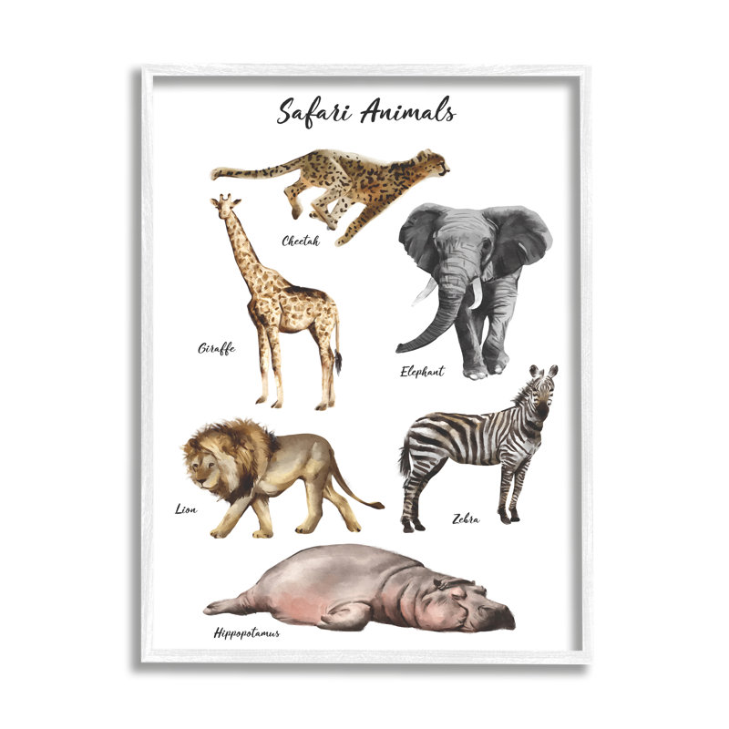 Safari, graphique animalier, aquarelle ludique, H 14 po x l 11 po x P 1,5 po, Giclée encadrée blanc bord de mer