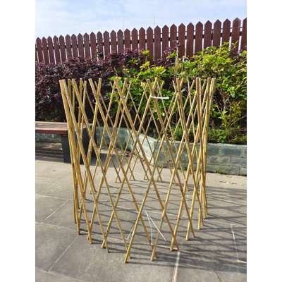 Wood Expanding Trellis