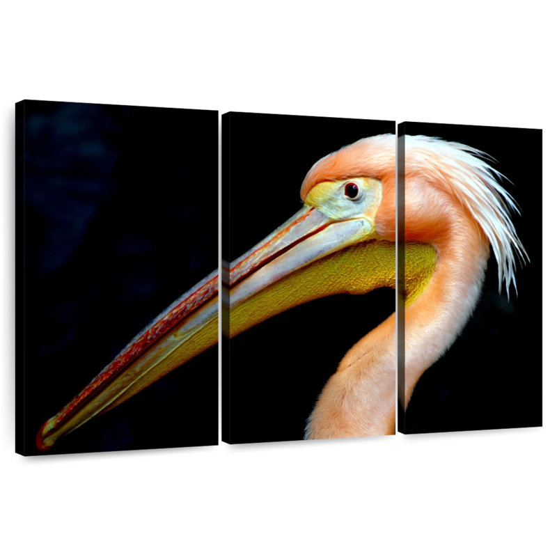 Brampt Peach Pelican Profile, 36" H x 57" W